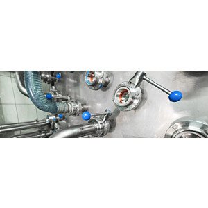 Stainless steel hygienic valves